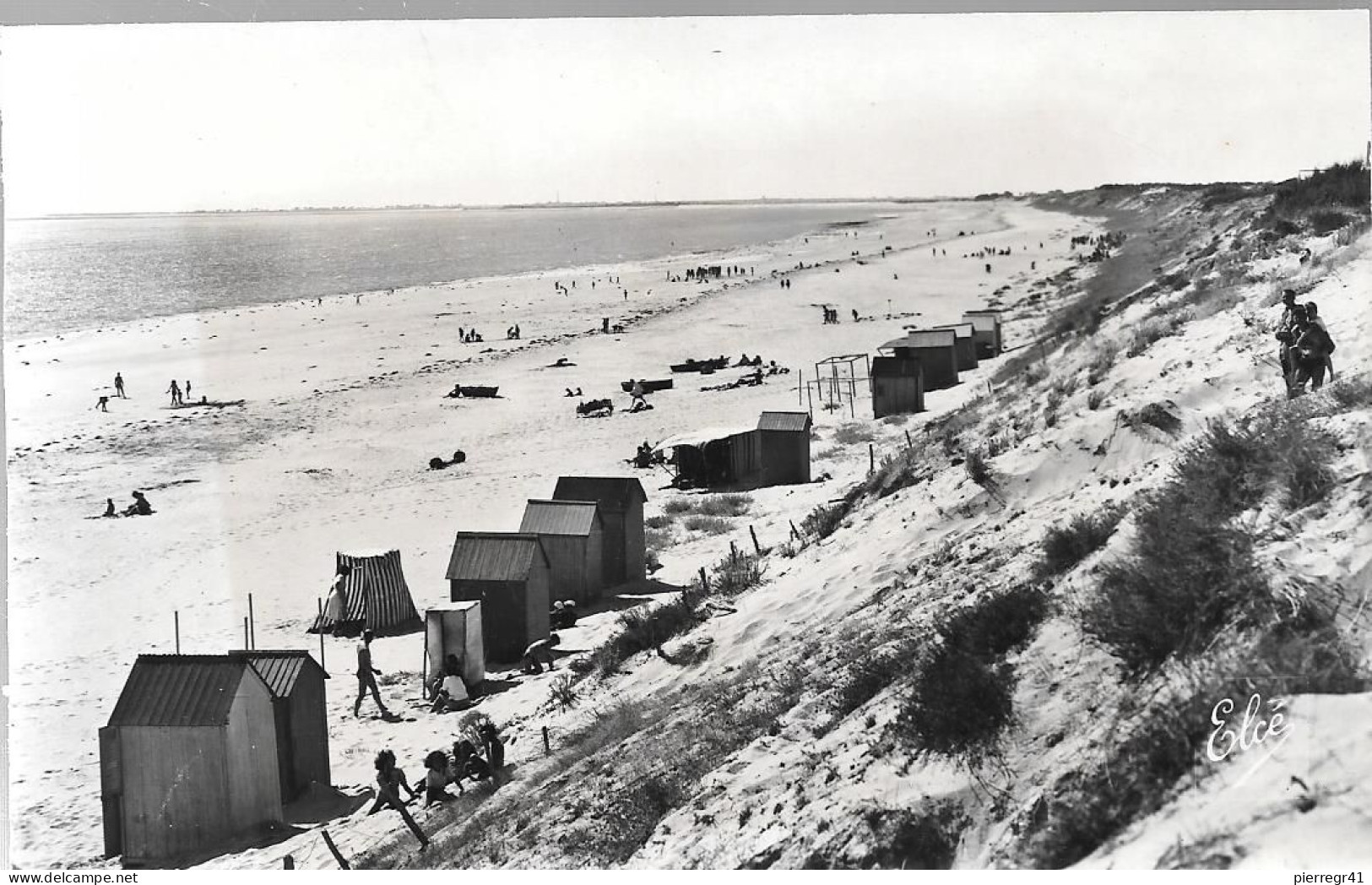 CPA-1950-17-ILE DE RE-LA COUARDE-La PLAGE-Edit Elcé-TBE - Ile De Ré