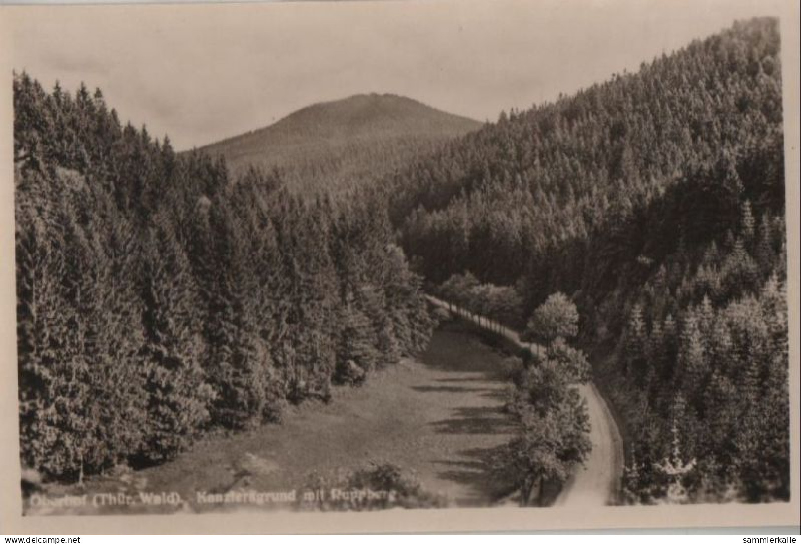 58083 - Oberhof - Kanzlersgrund Mit Ruppberg - Ca. 1955 - Oberhof