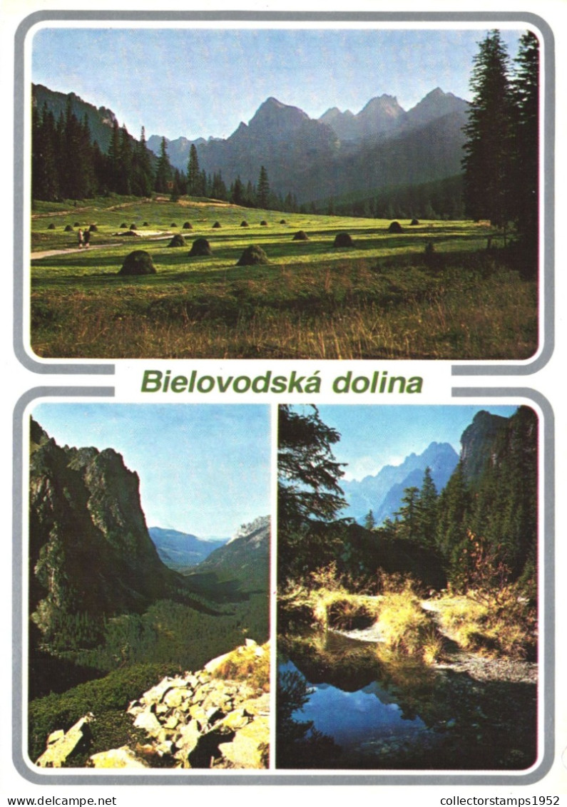 BIELOVODSKA DOLINA, HIGH TATRAS, MULTIPLE VIEWS, MOUNTAIN, SLOVAKIA, POSTCARD - Slovakia