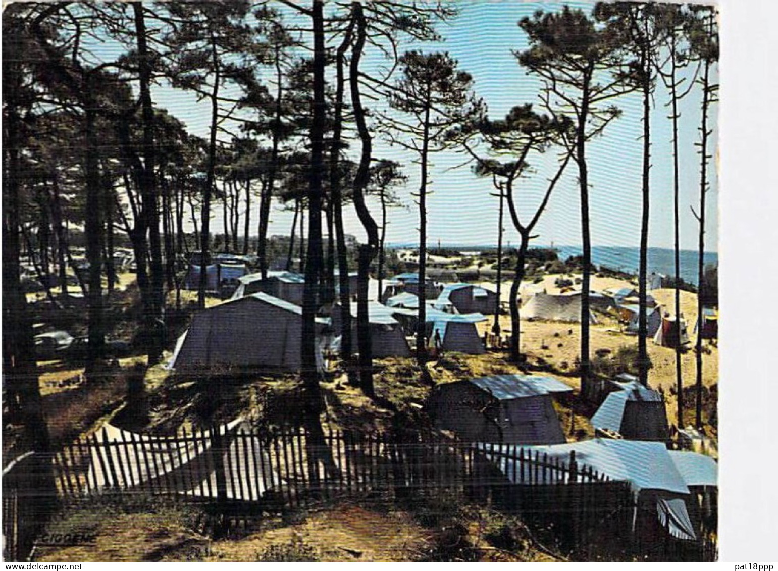 FRANCE - Beau Lot de 100 CPSM-CPM CAMPING dont 35 dentelées (15 PF et 20 GF dont 10 colorisées) 0.15 €/carte - 80 scans