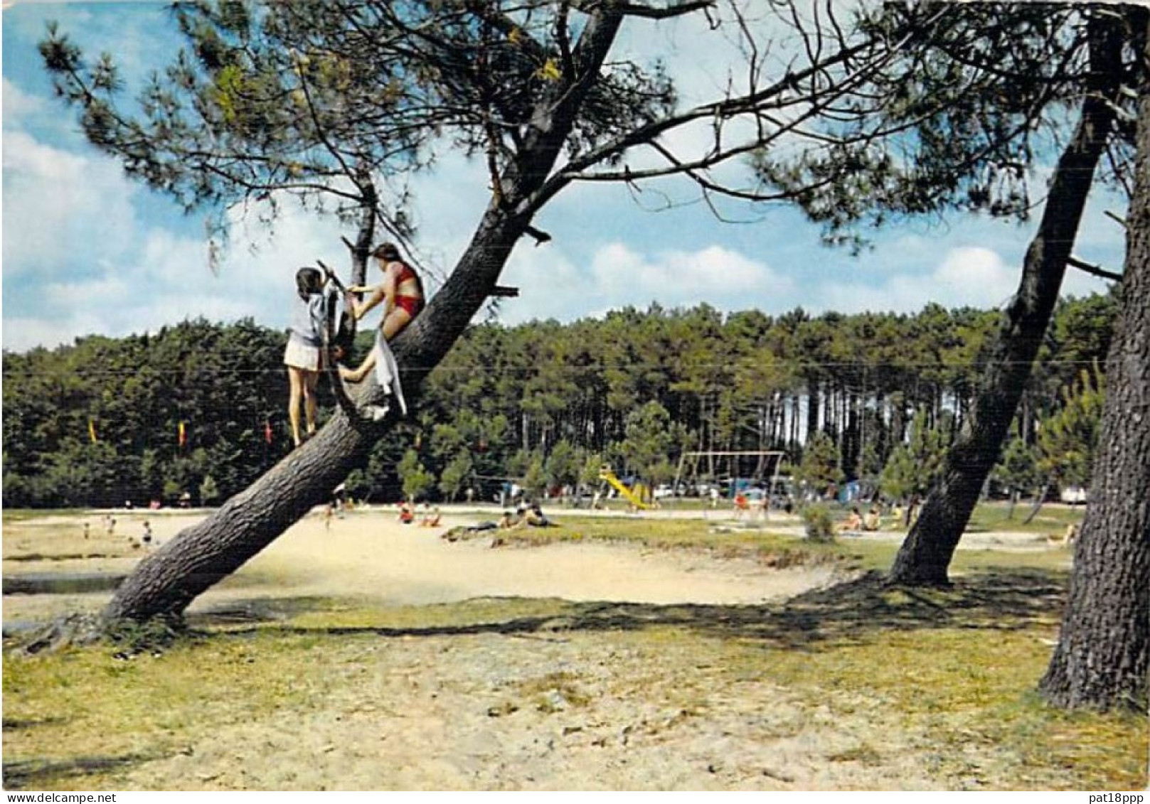 FRANCE - Beau Lot de 100 CPSM-CPM CAMPING dont 35 dentelées (15 PF et 20 GF dont 10 colorisées) 0.15 €/carte - 80 scans