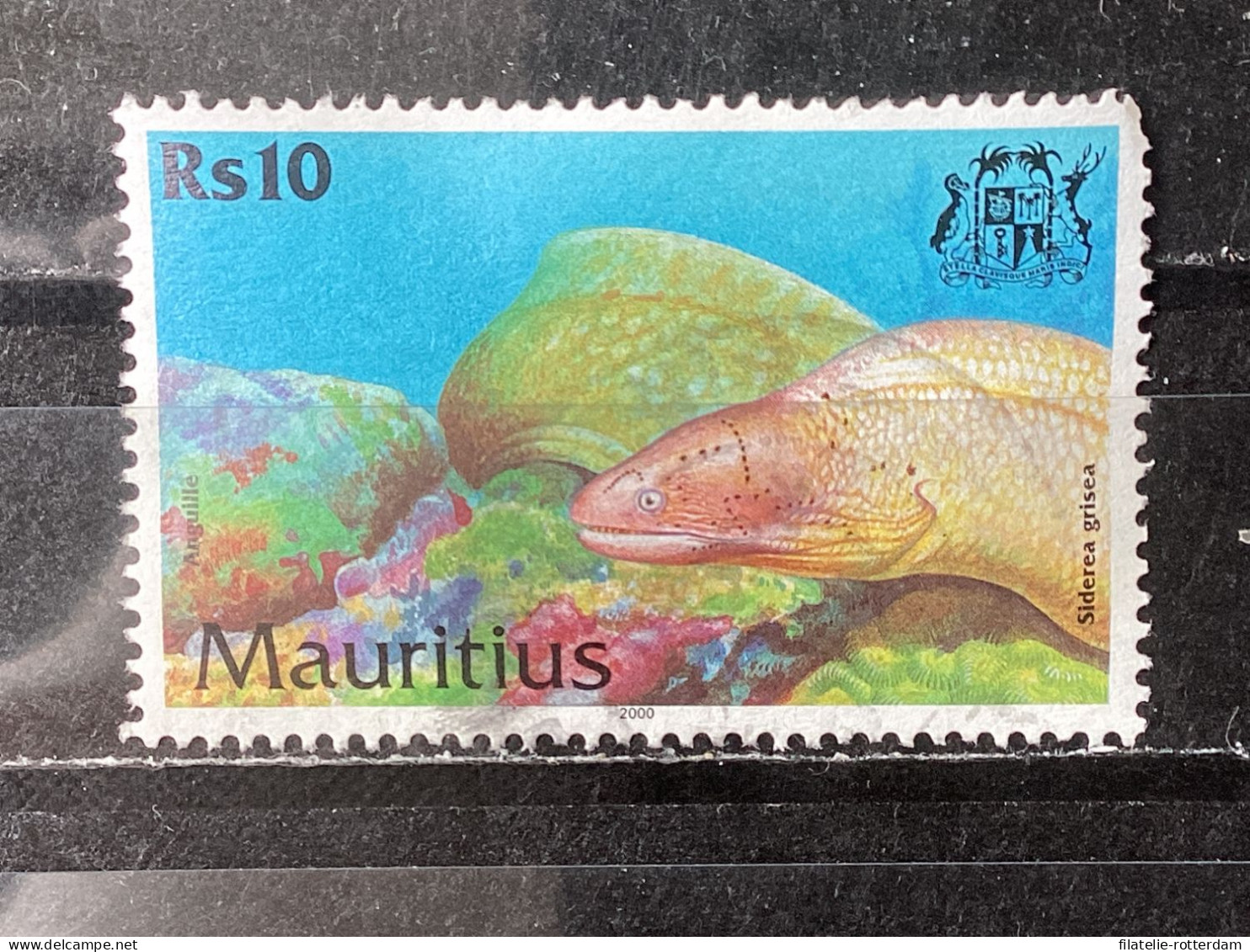 Mauritius - Fish (10) 2000 - Mauritius (1968-...)