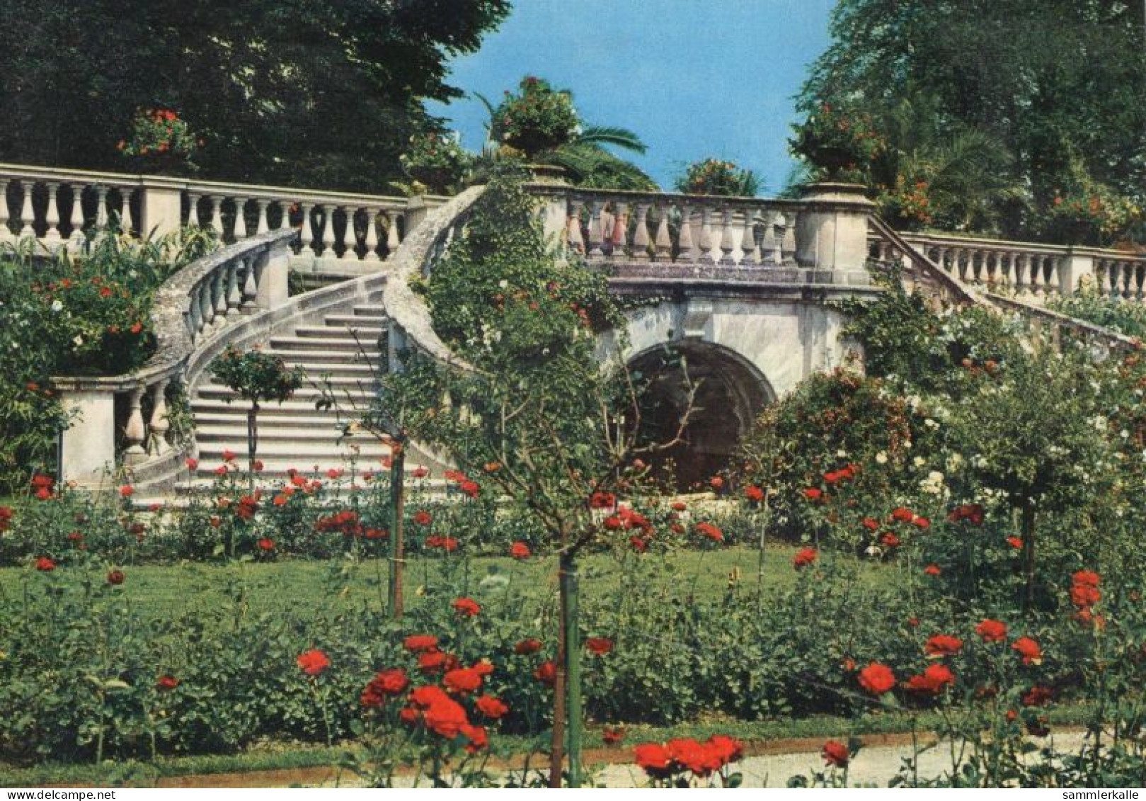 126478 - Mainau (Insel) - Rosengarten - Konstanz