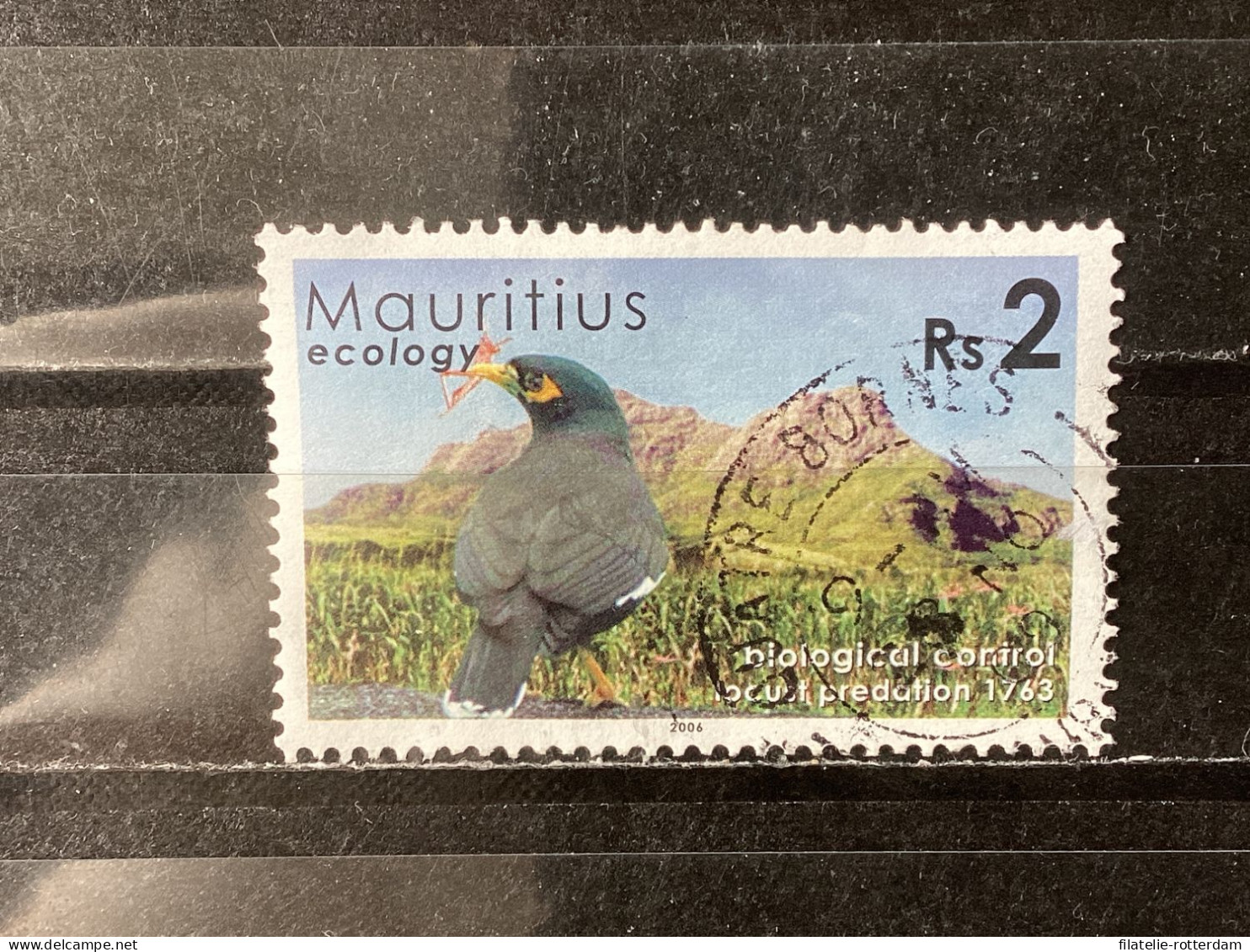 Mauritius - Birds (2) 2006 - Mauritius (1968-...)