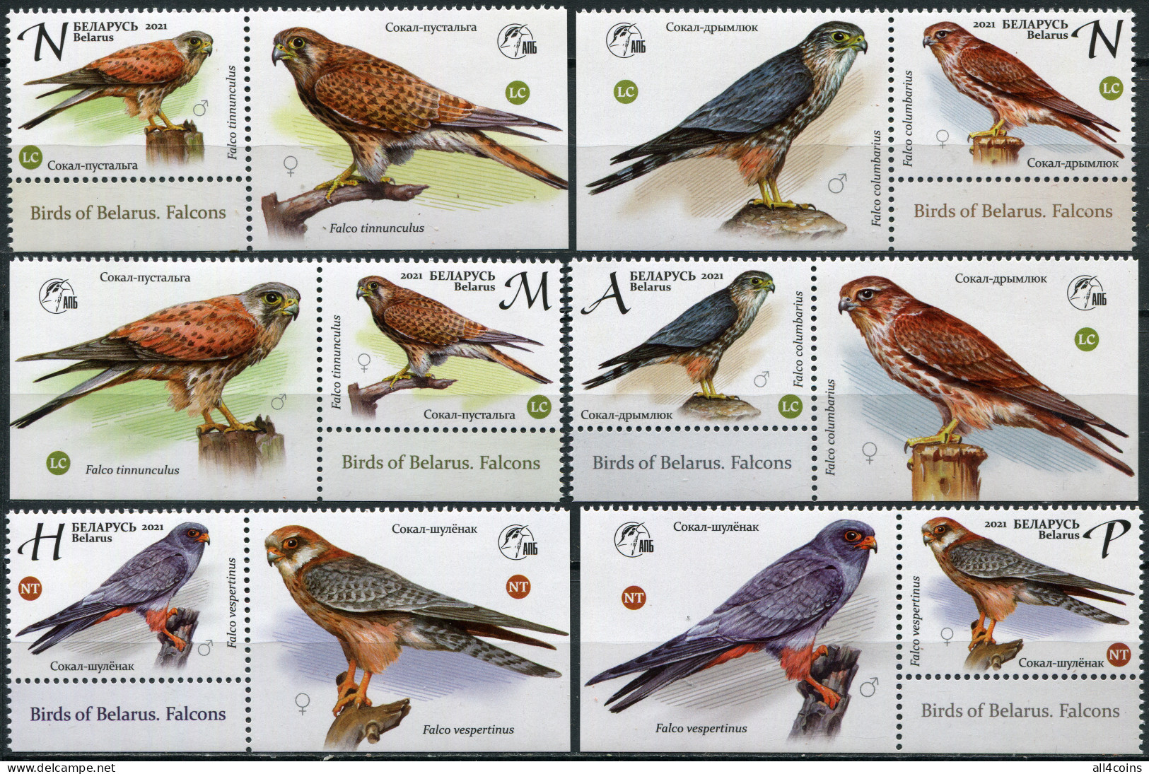 Belarus 2021. Falcons (I) (MNH OG) Set Of 6 Stamps And 6 Labels - Bielorrusia