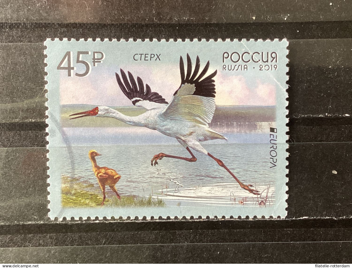Russia / Rusland - Birds (45) 2019 - Oblitérés