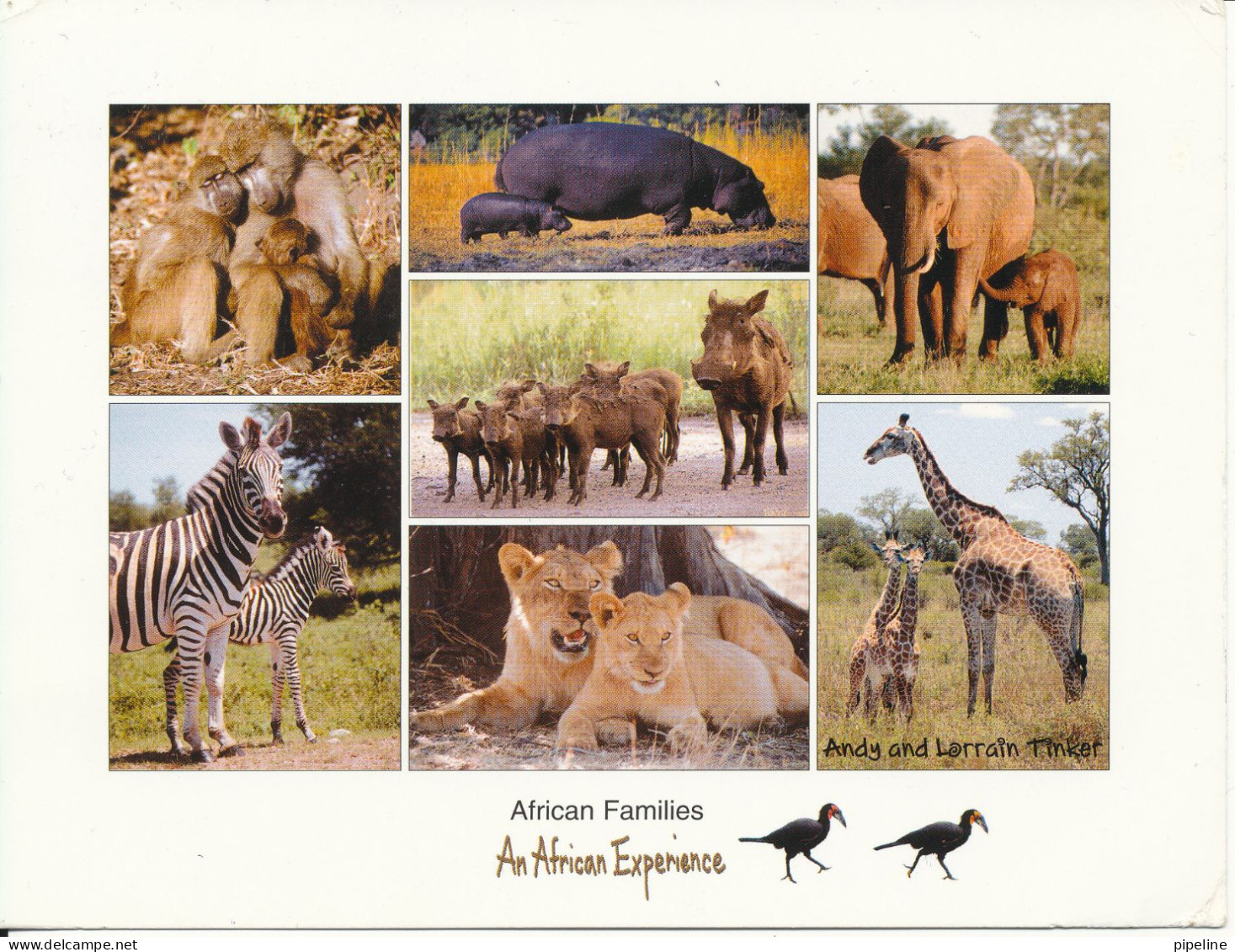 South Africa Postcard Sent To Denmark 25-11-2002 African Families - Afrique Du Sud