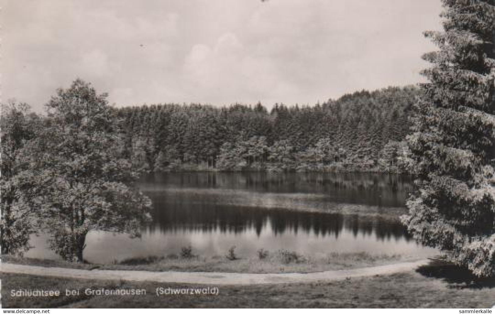 6511 - Schluchsee B. Grafenhausen - 1961 - Schluchsee