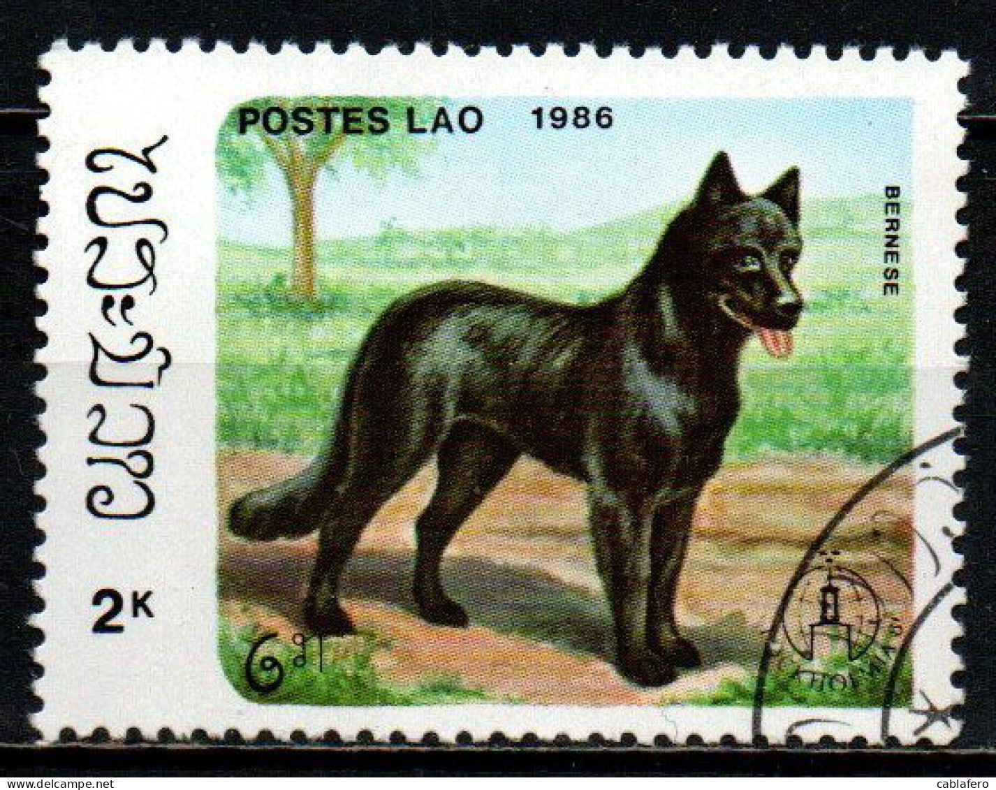 LAOS - 1986 - CANE DI RAZZA BERNESE - USATO - Laos