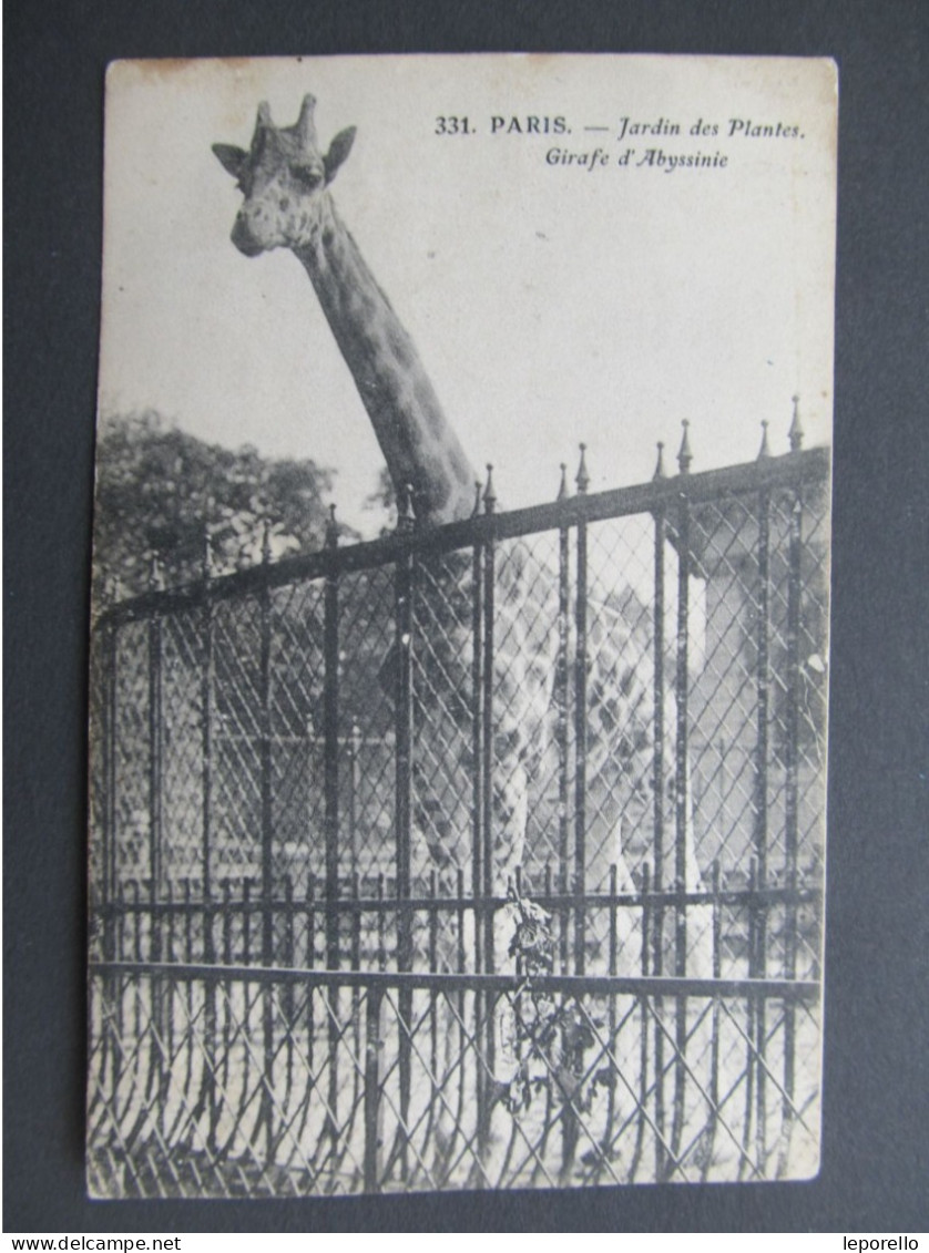 AK PARIS ZOO Tiergarten Jardin Des Plantes Giraffe 1920/// D*59107 - Other Monuments