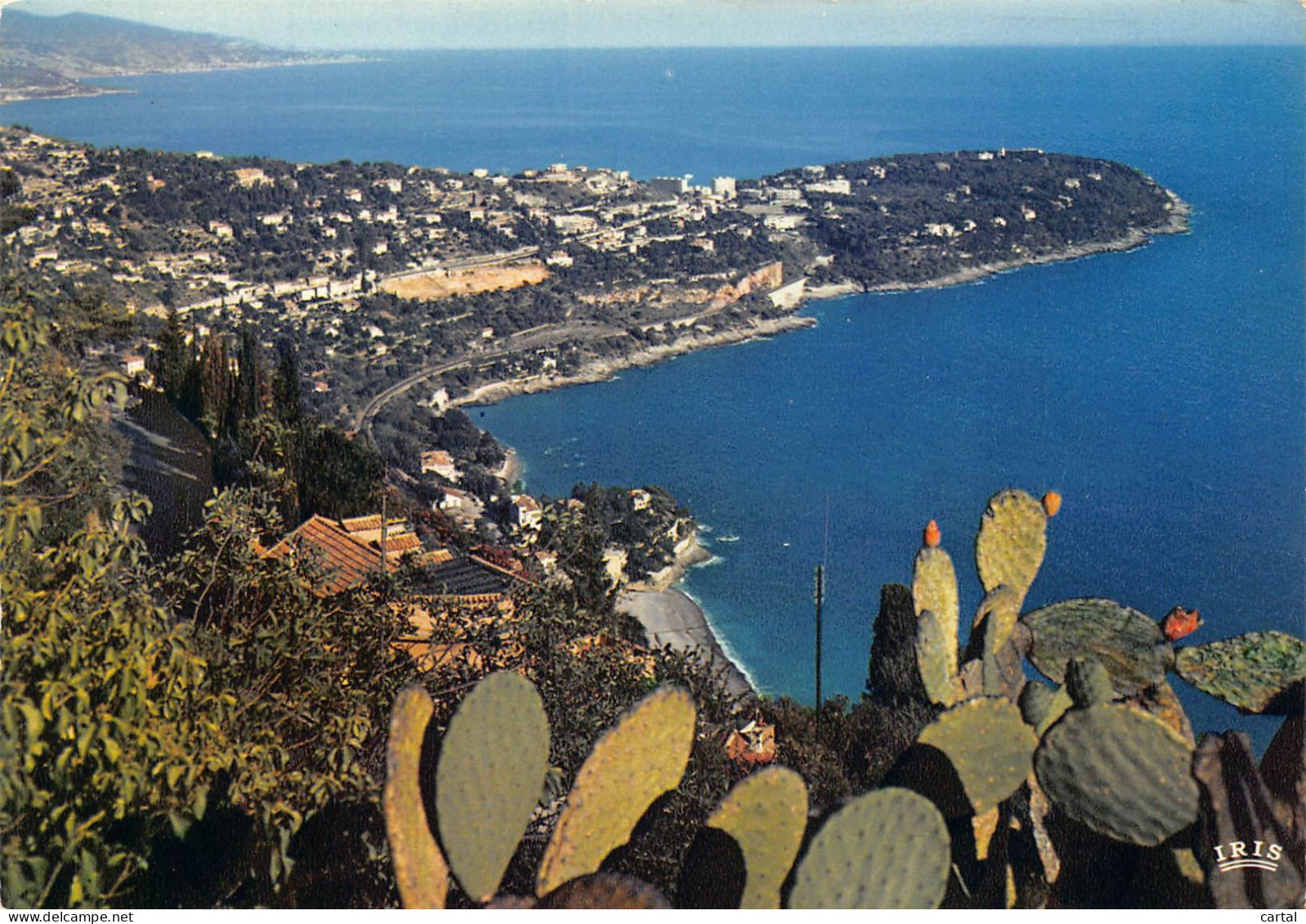 CPM - 06 - ROQUEBRUNE-CAP-MARTIN - Vue Générale Au Cap-Martin - Roquebrune-Cap-Martin