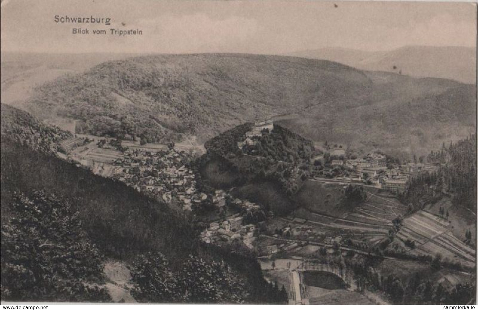 87412 - Schwarzburg - Blick Vom Trippstein - Ca. 1935 - Saalfeld
