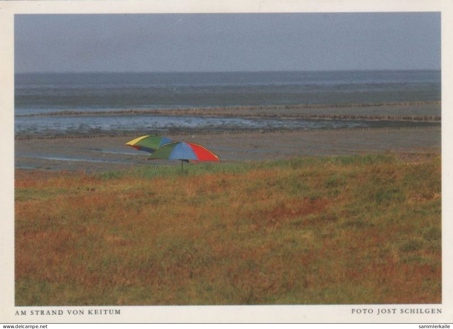 9000008 - Keitum (OT Von Sylt) - Am Strand - Sylt