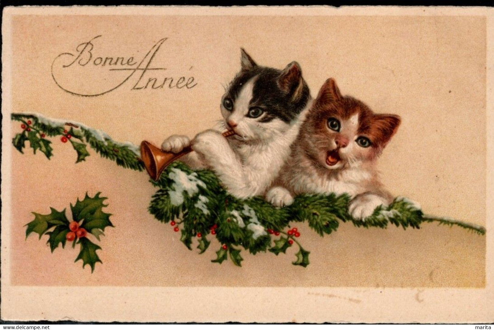 2 Chats  - Cats -katze  -  Poesjes Op Tak Van Kerstboom - Gatos