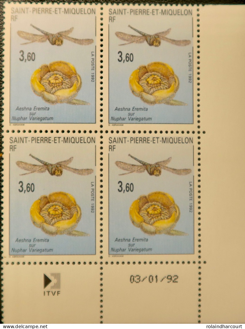 LP3969/494 - SPM - 1992 - Faune Et Flore - N°560 BLOC NEUF** Avec Coin Daté - Neufs