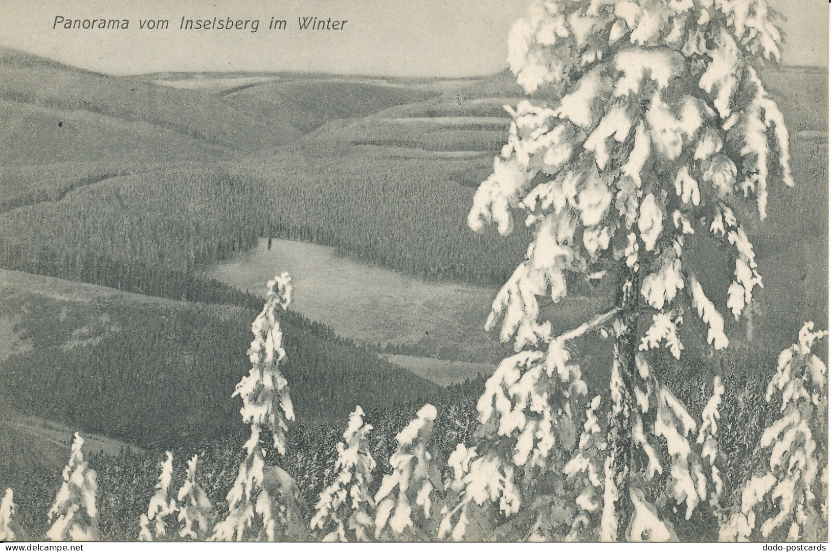 PC38520 Panorama Vom Inselsberg Im Winter. W. Ziuke. B. Hopkins - Mundo