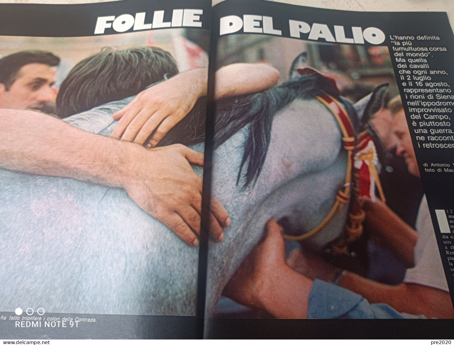 EPOCA 1977 ADRIANO CELENTANO PALIO DI SIENA - Andere & Zonder Classificatie