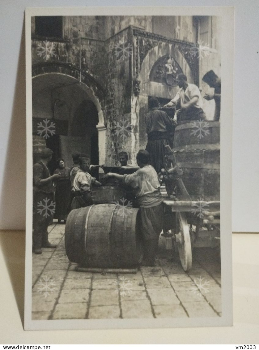 Croatia Dubrovnik Ragusa. Harvest Barrels For Wine And People With Grapes. Vendanges - Kroatië