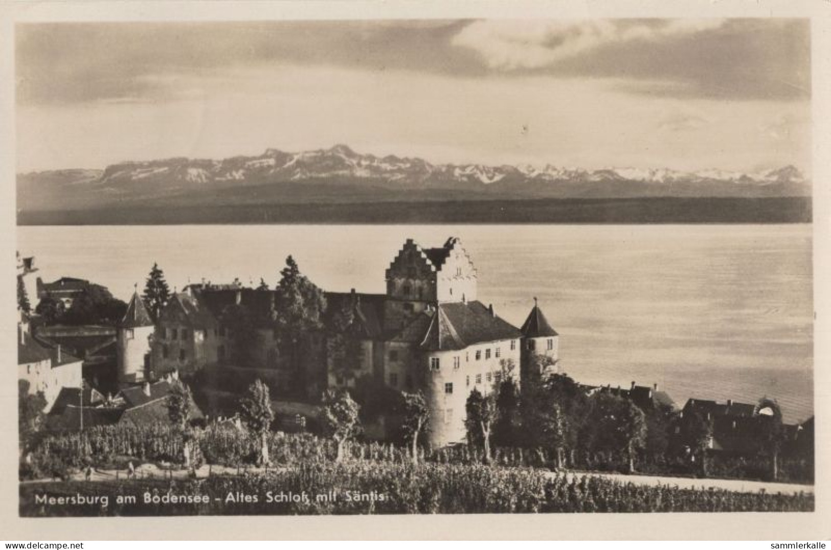 125493 - Meersburg - Altes Schloss - Meersburg