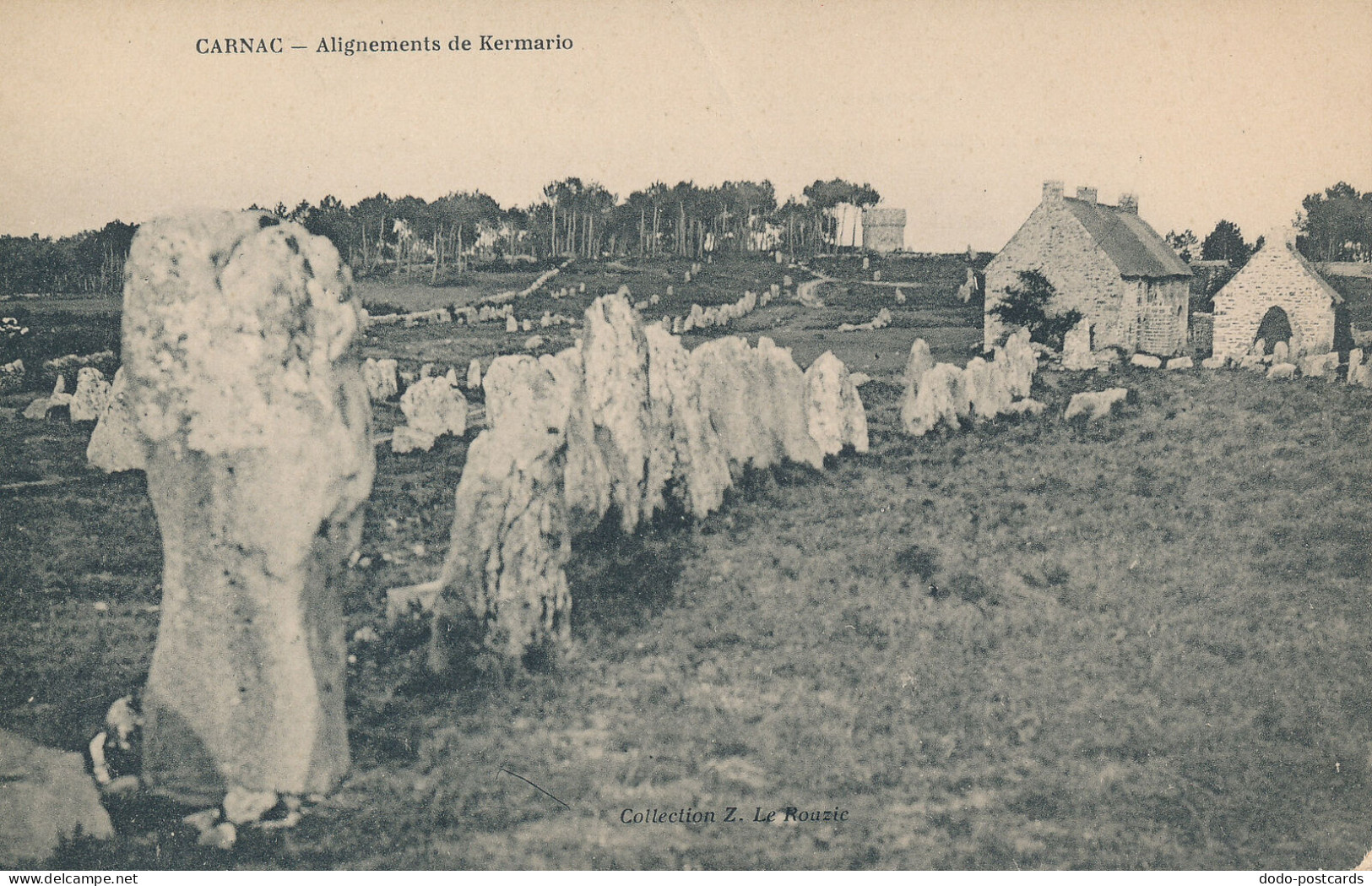 PC41161 Carnac. Alignements De Kermario. B. Hopkins - Monde