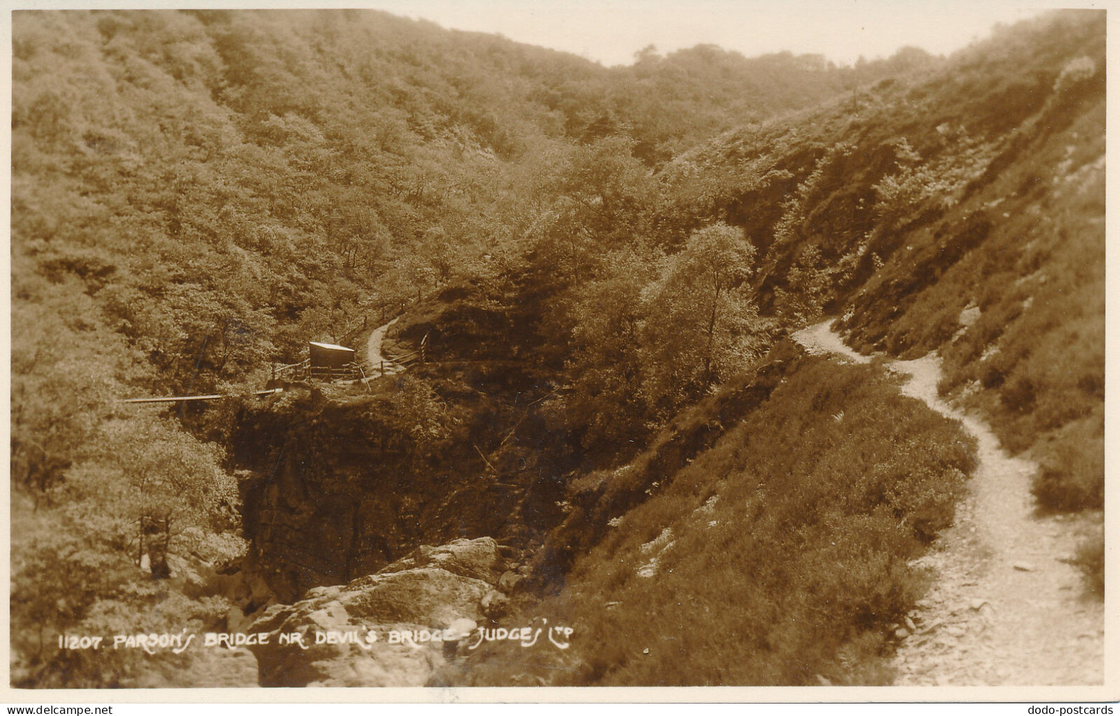 PC42265 Parsons Bridge Nr. Devils Bridge. Judges Ltd. No 11207 - Monde