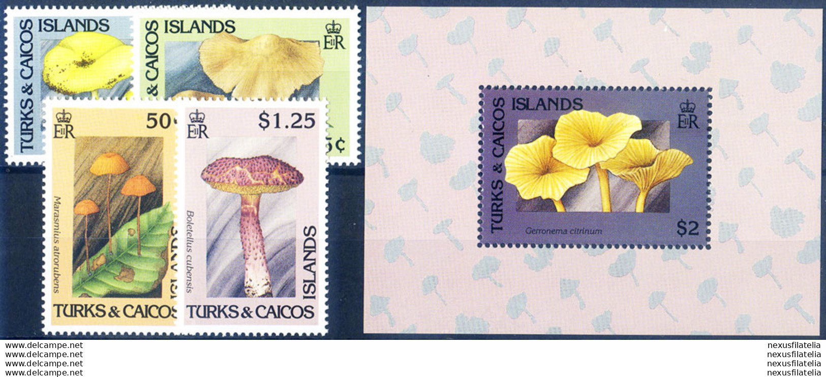 Flora. Funghi 1991. - Turcas Y Caicos