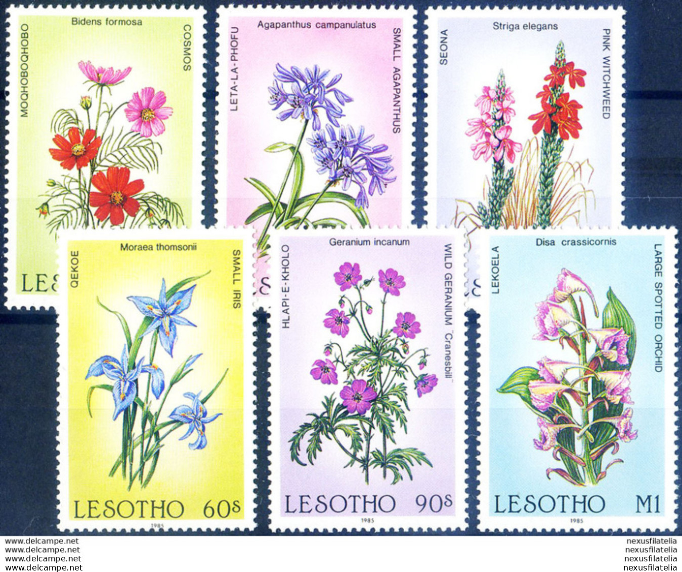 Flora. Fiori 1985. - Lesotho (1966-...)