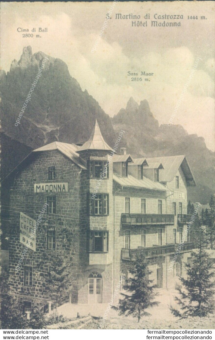 Aa475 Cartolina S.martino Di Castrozza Hotel Madonna Provincia Di Trento - Trento