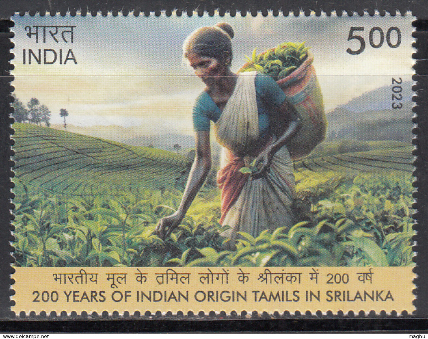 India MNH 2023, Indian Origin Tamils In Sri Lanka, Tea Plant Women Labour. Basket, - Unused Stamps