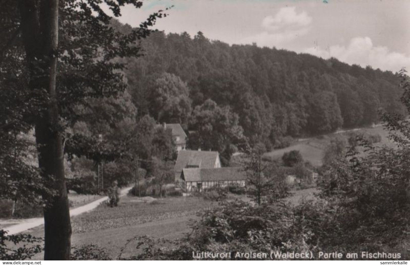 60790 - Bad Arolsen - Partie Am Fischhaus - Ca. 1960 - Bad Arolsen