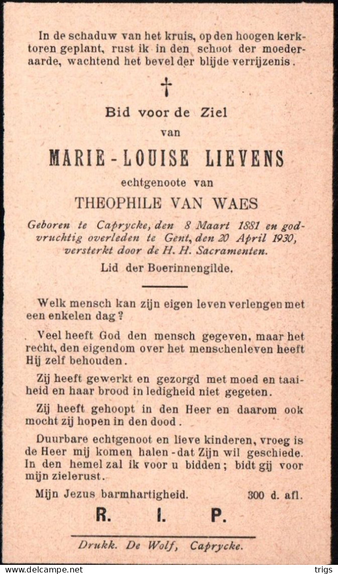 Marie Louise Lievens (1881-1930) - Andachtsbilder