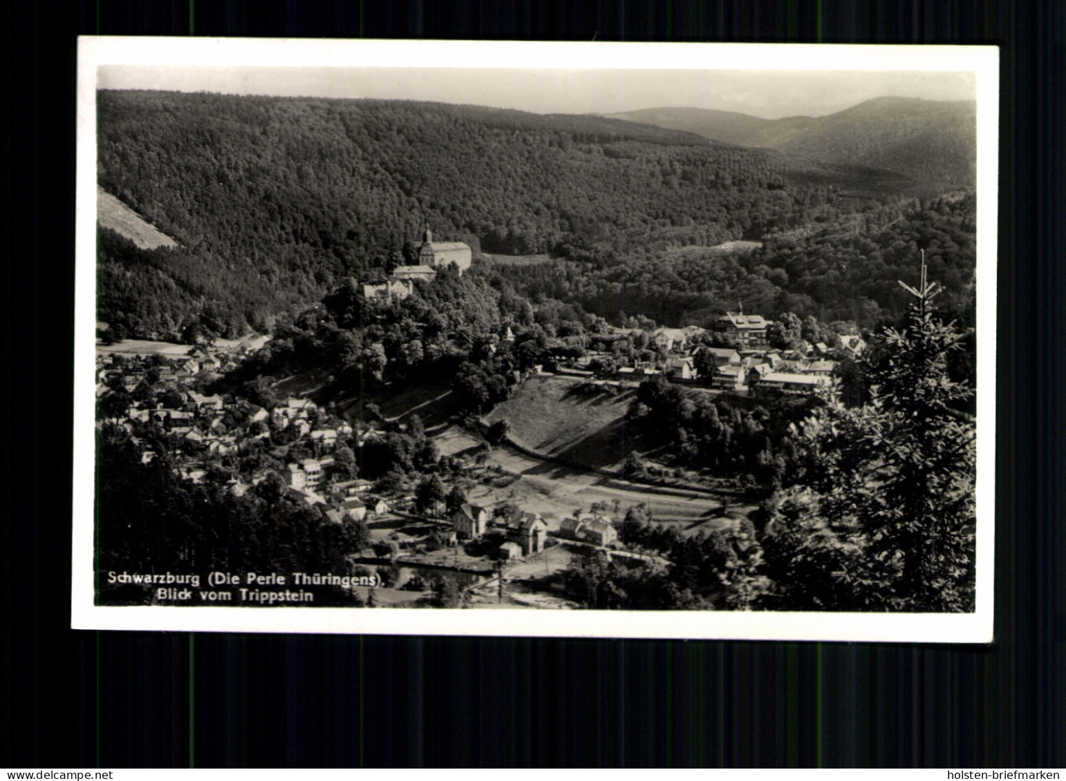 Schwarzburg I. Thür., Blick Vom Trippstein - Autres & Non Classés