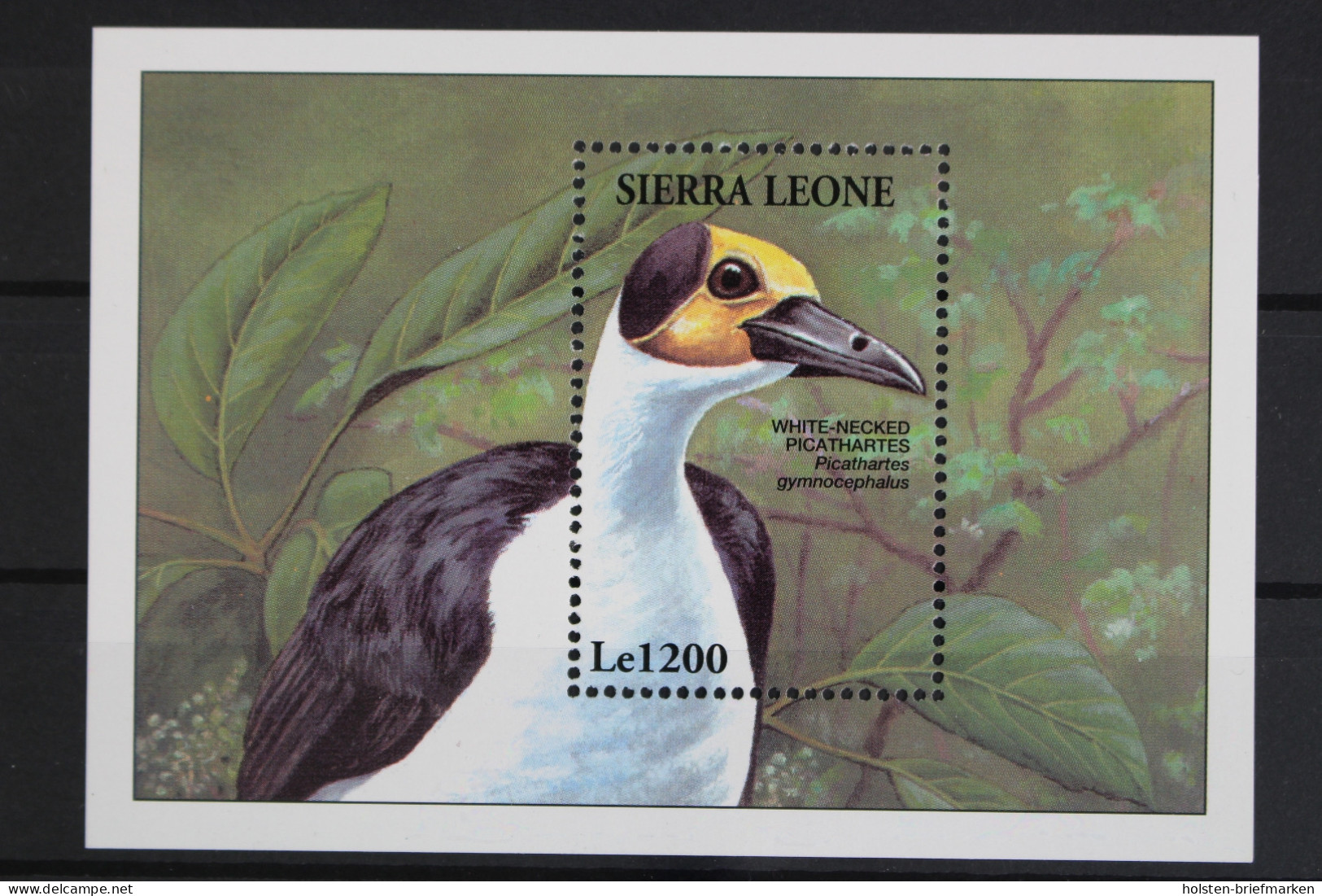 Sierra Leone, MiNr. Block 249, Postfrisch - Sierra Leone (1961-...)