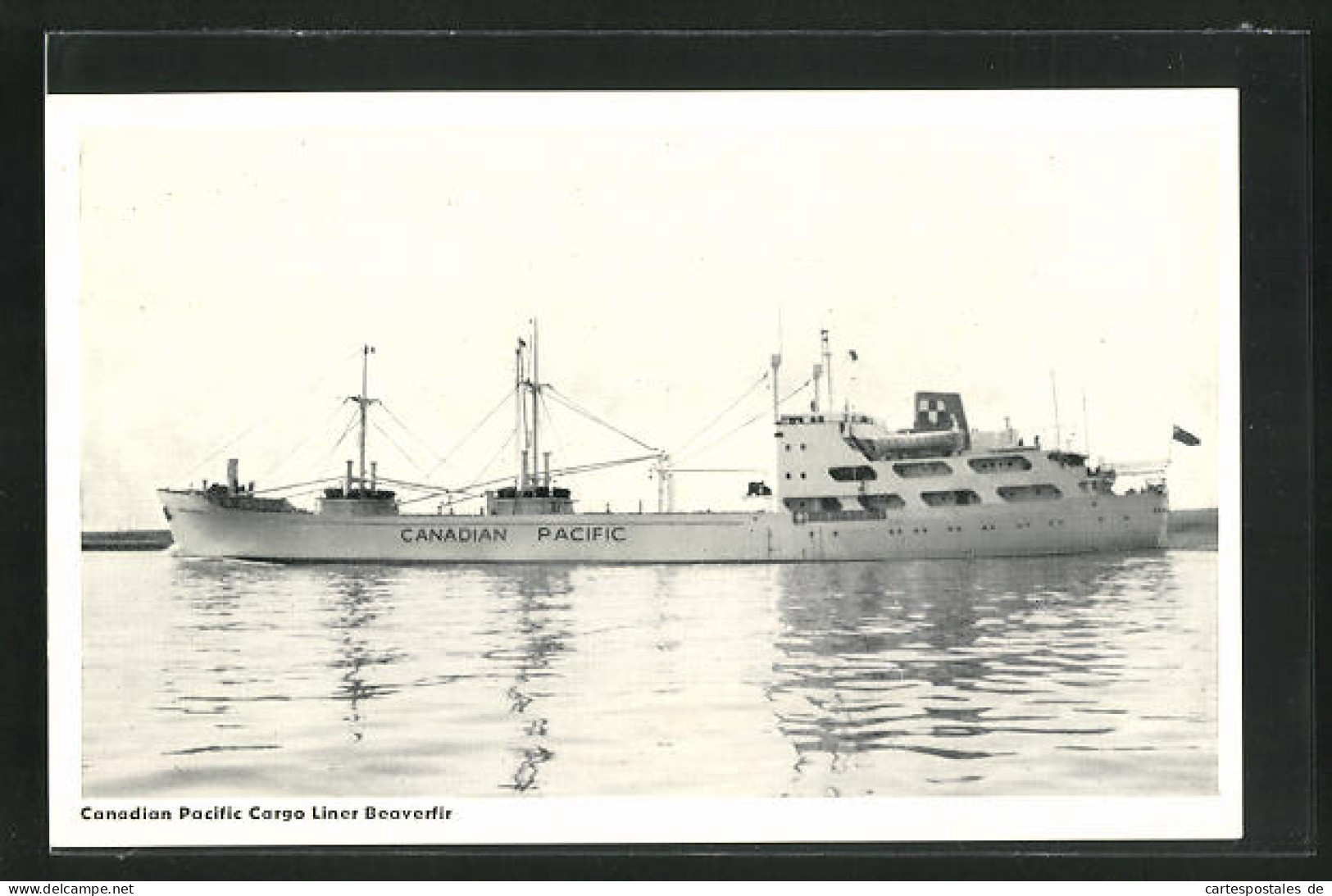 AK Handelsschiff Beaverfir Vor Der Küste  - Cargos