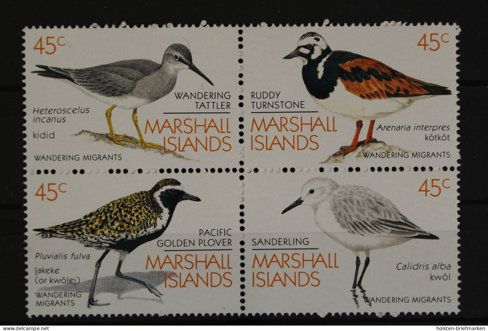 Marshall-Inseln, Vögel, MiNr. 222-225 Viererblock, Postfrisch - Marshall Islands