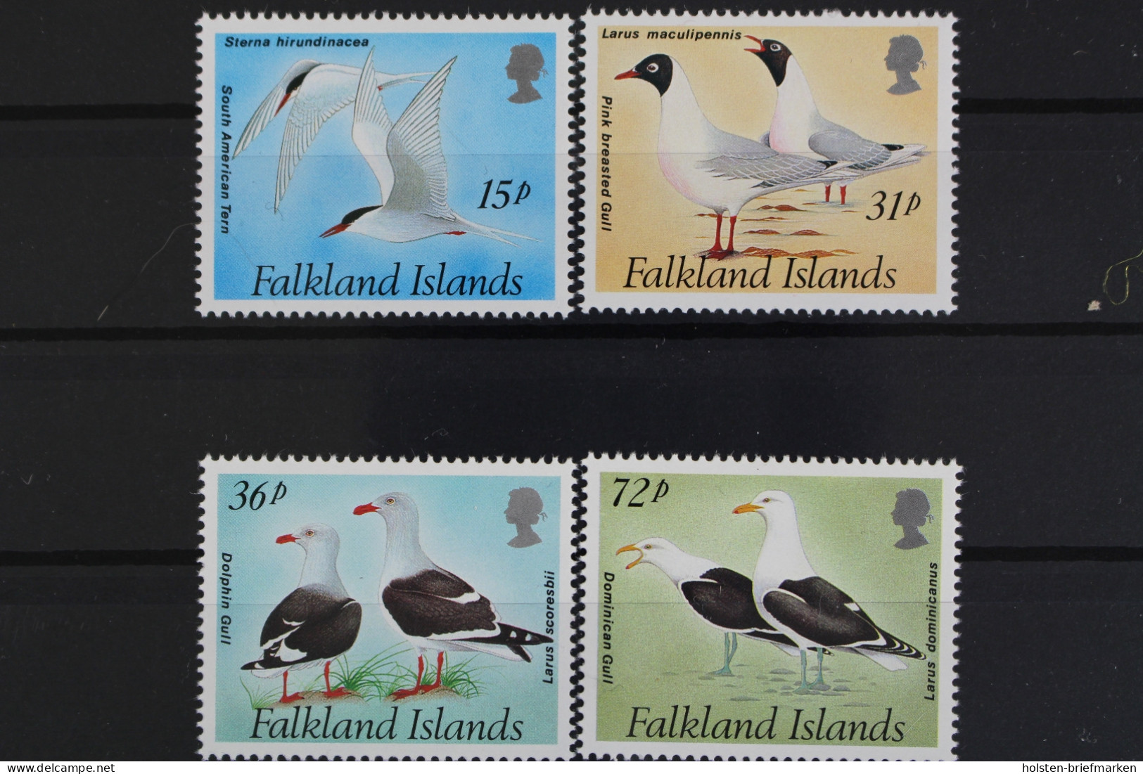 Falklandinseln, MiNr. 575-578, Postfrisch - Falklandinseln