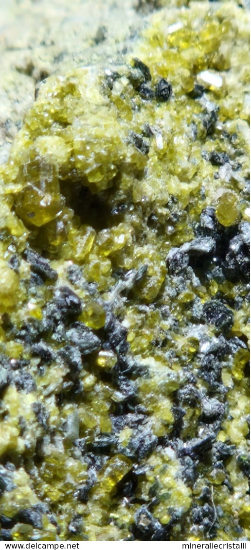 Epidoto E Diopside Cristalli Su Matrice 721gr  Valle Antrona Piemonte Italia - Minerals