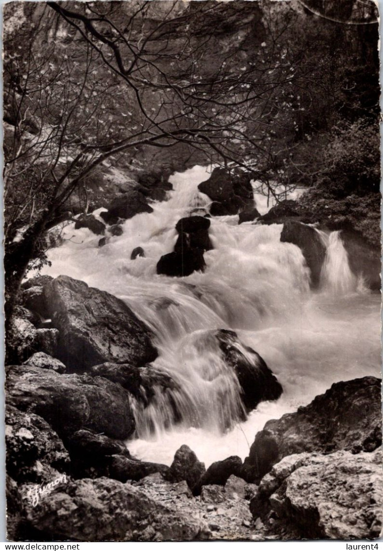 29-3-2024 (4 Y 21) France - Posted 1953 - Fontaine De Vaucluse (rivière Et Arvbres) B/w - Bomen