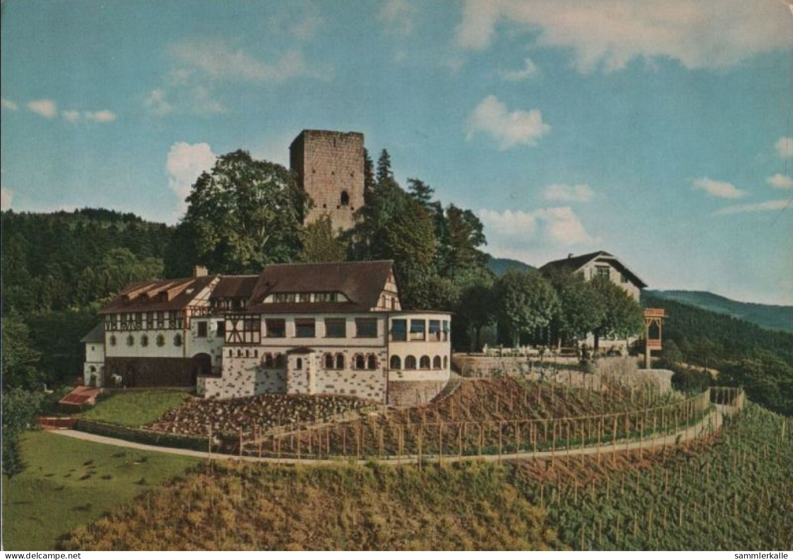 91135 - Bühl - Ruine Alt-Wind-Eck - Ca. 1975 - Bühl