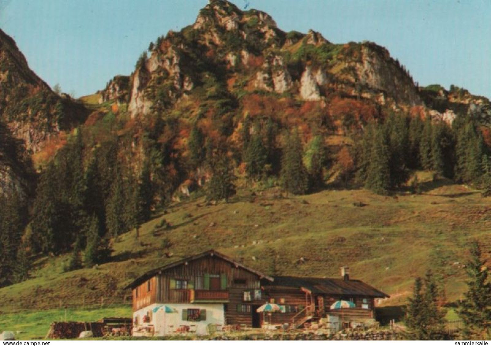 42814 - Hochfelln - Mit Bründling-Alm - Ca. 1975 - Chiemgauer Alpen