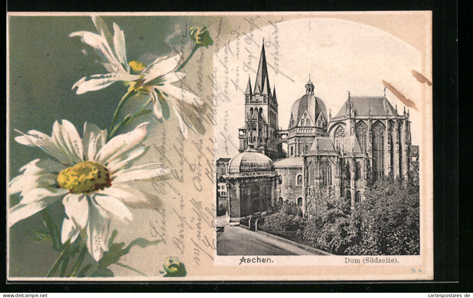 Blumengruss-AK Aachen, Dom Südseite, Margeriten  - Photographie
