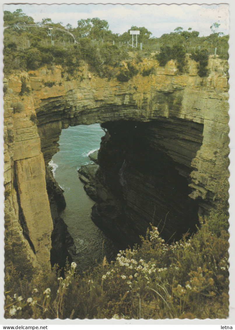 Australia TASMANIA TAS Tasmans Arch EAGLEHAWK NECK Nucolorvue PA55 Postcard C1980s - Port Arthur