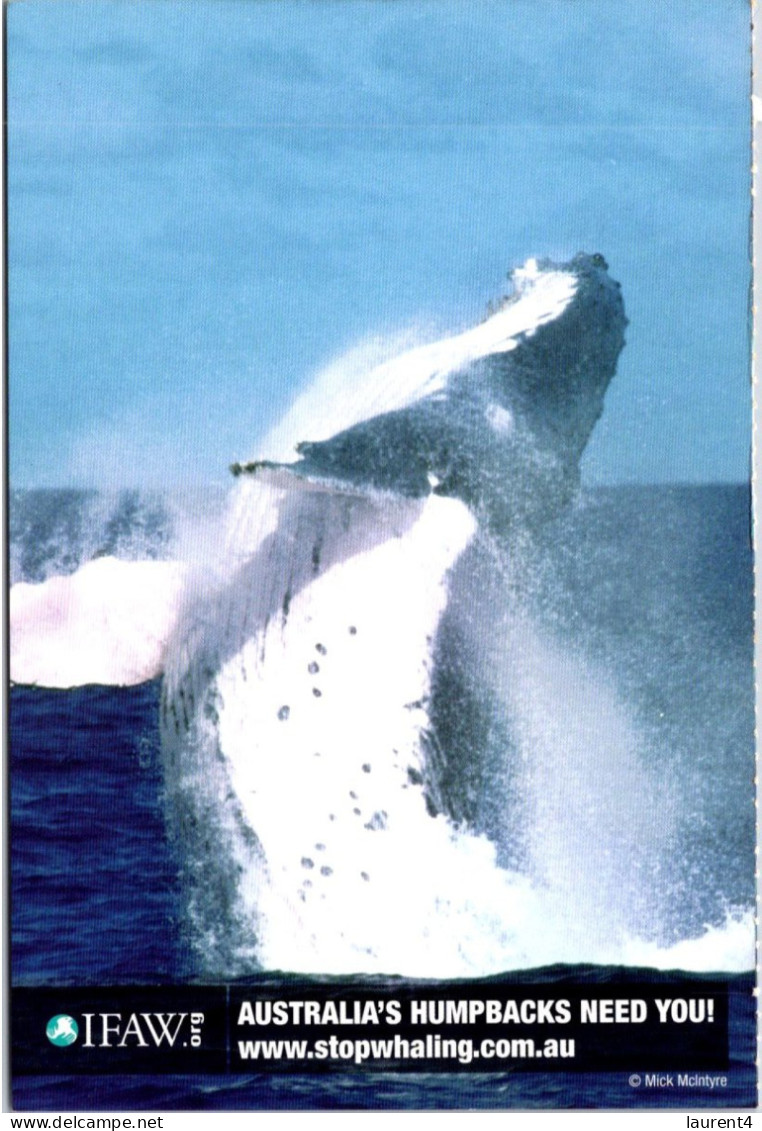 28-3-2024 (4 Y 25)  Australia - IFAW (whales) 2 Postcards - Fish & Shellfish