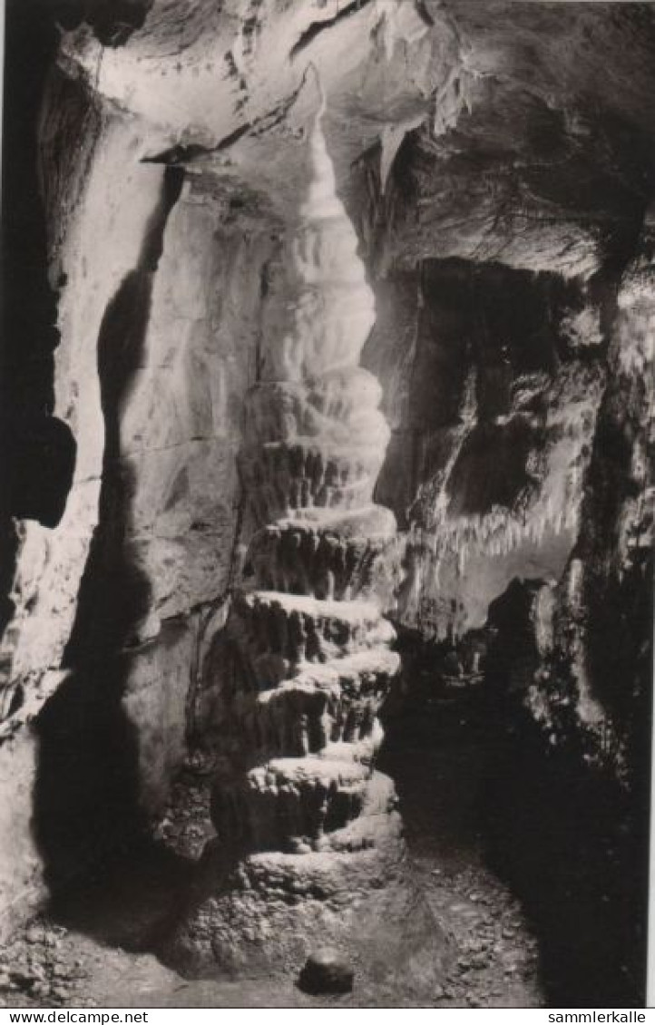 77067 - Wiesenttal, Streitberg - Bing-Höhle, Riesensäule - Ca. 1960 - Forchheim