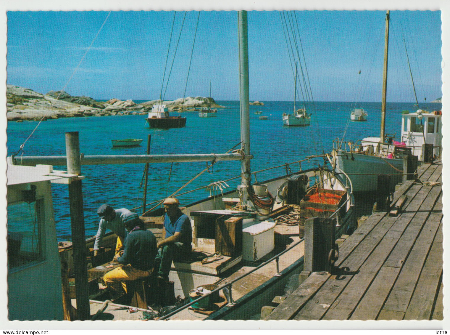 Australia TASMANIA TAS Fishing Boats Wharf Gulch BICHENO Nucolorvue TE12 Postcard C1970s - Sonstige & Ohne Zuordnung