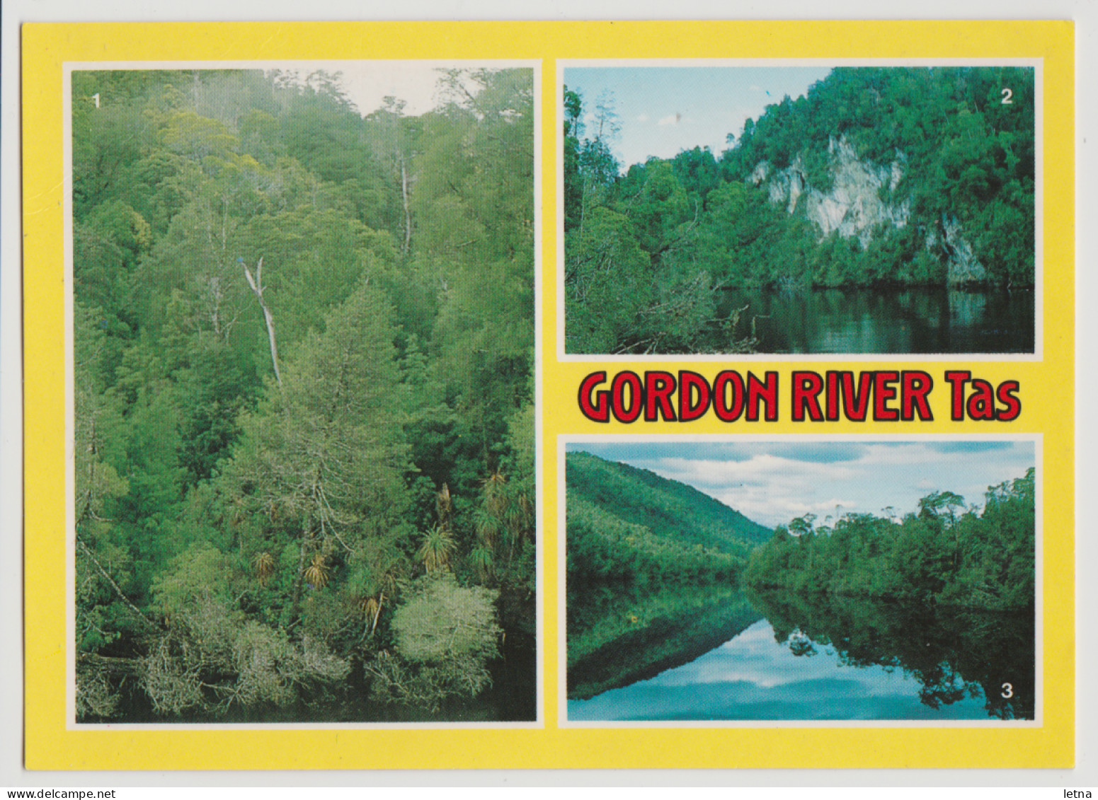 Australia TASMANIA TAS Gordon River WEST COAST Nucolorvue 12TW019 Multiview Postcard C1980s - Wilderness