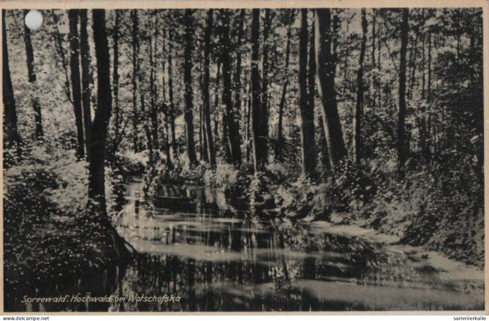 41349 - Spreewald, Wotschofska - Hochwald - Ca. 1935 - Luebbenau