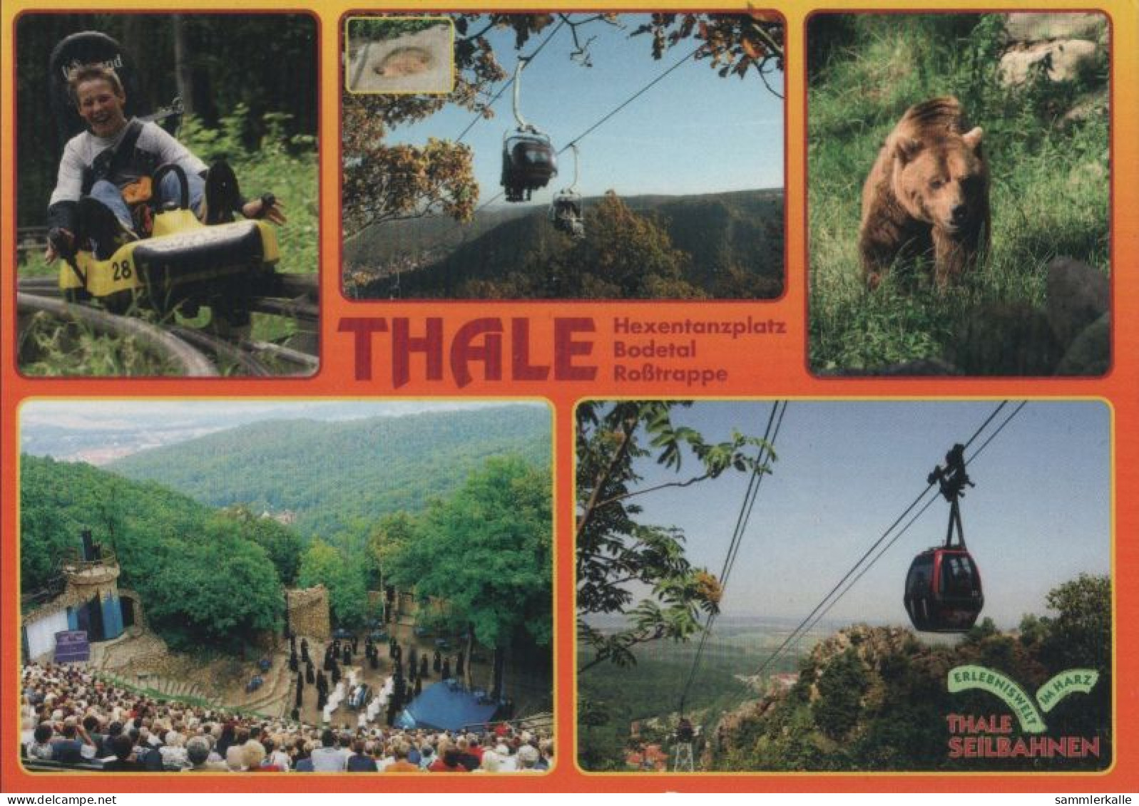 119104 - Thale - 5 Bilder - Thale