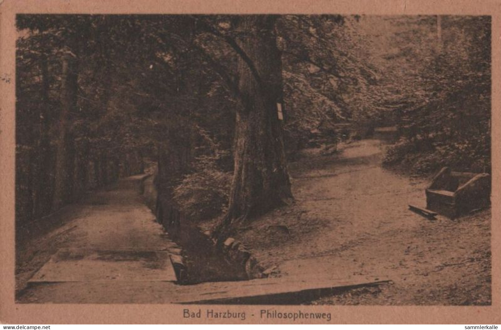 85510 - Bad Harzburg - Philosophenweg - 1925 - Bad Harzburg