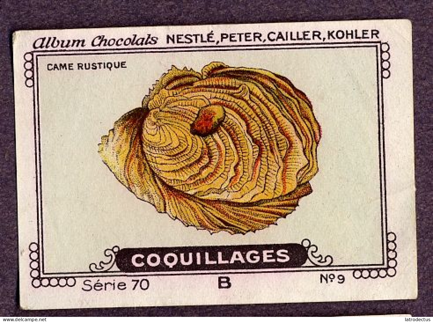 Nestlé - 70B - Coquillages, Shellfish - 9 - Came Rustique - Nestlé